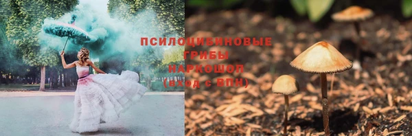 спайс Алзамай