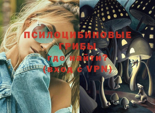 спайс Алзамай