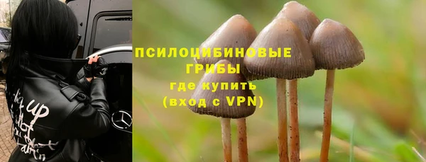молекула духа Алексеевка