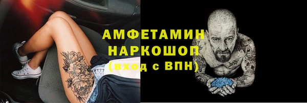молекула духа Алексеевка