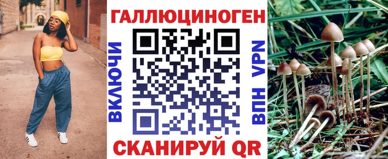 как найти наркотики  ссылка на мегу онион  Галлюциногенные грибы Cubensis  Белореченск 