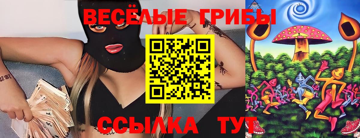 Галлюциногенные грибы Psilocybe Белореченск