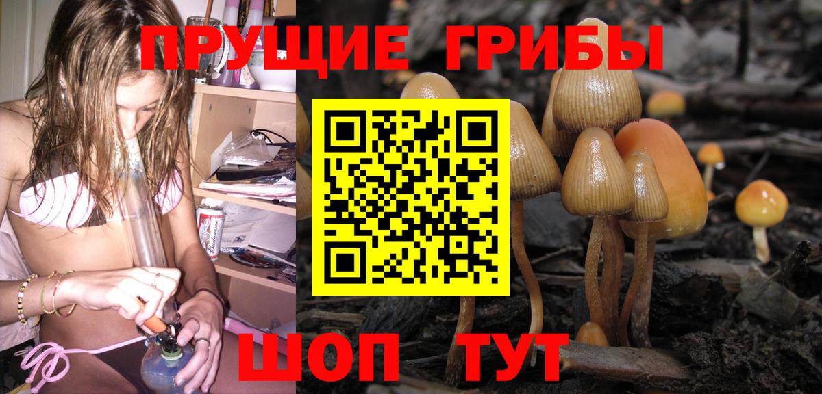 МЕФ Белореченск