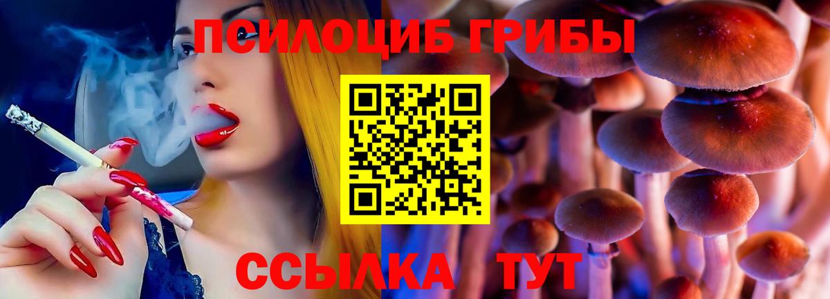Белореченск  Псилоцибиновые грибы Magic Shrooms  Вход с VPN  Псилоцибиновые грибы Magic Shrooms 